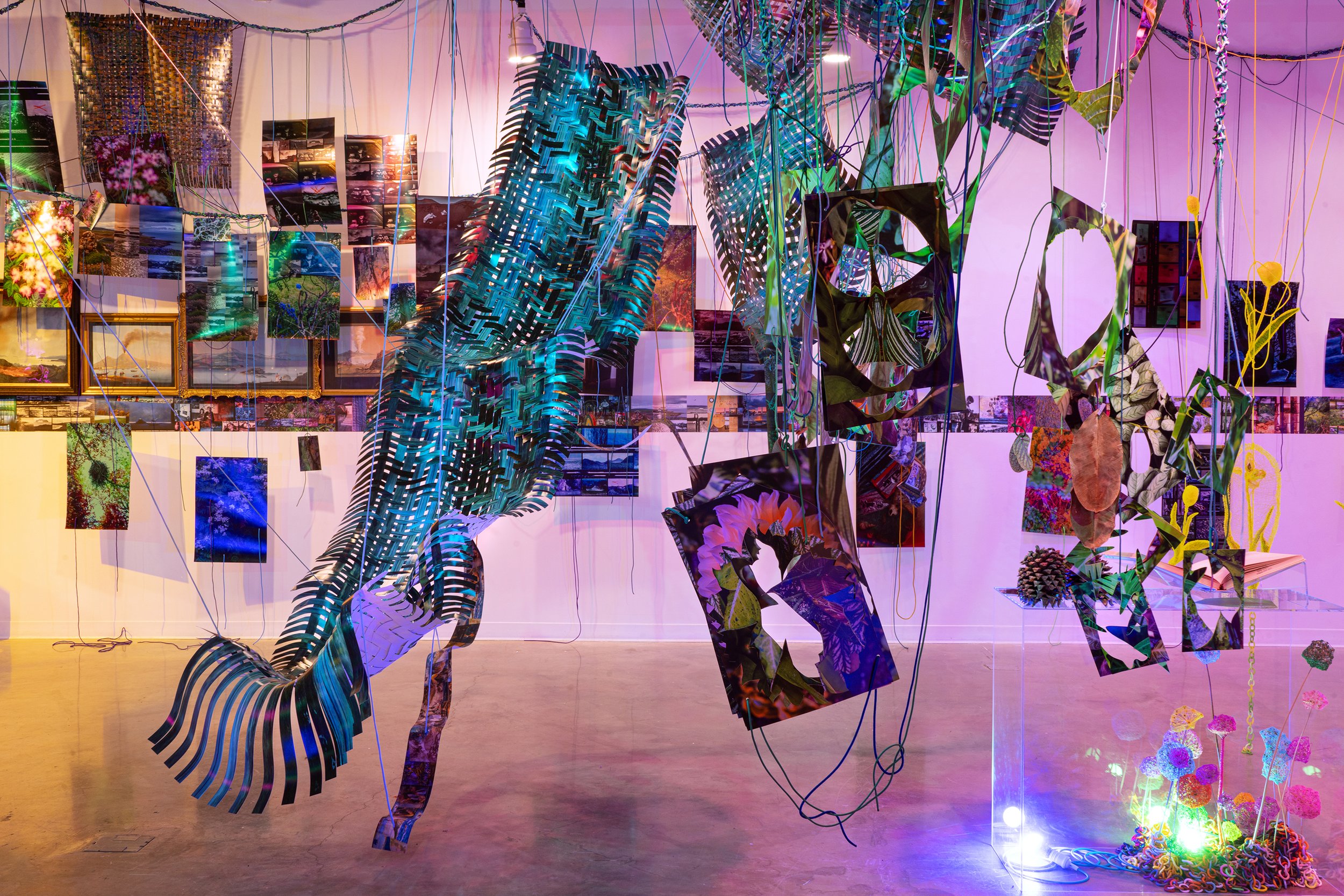 AIMÉE BEAUBIEN: INTO THE HOTHOUSE — Mason Exhibitions